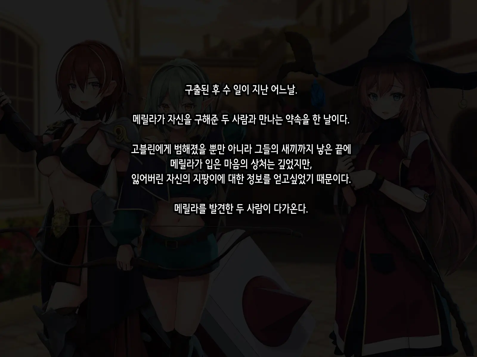 Half Elf Wa Goblin Snyou No Harami Bukuro To Shite
